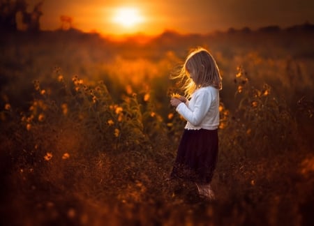 little girl - fun, people, sunset, belle, sightly, white, face, childhood, fair, grass, little, bonny, adorable, child, nature, beautiful, pink, sweet, nice, beauty, photography, standing, pretty, baby, cute, kid, dainty, girl, lovely, pure, comely, desktopnexus, blonde, flower