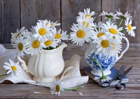 Still Life - petals, flowers, daisies, vase, still life, nature