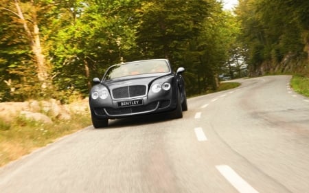 Bentley - drive, Bentley, car, wheel