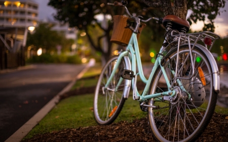 Bicycle - cycle, pedal, bicycle, wheel