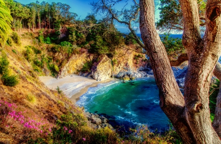 Mcway falls - trees, hills, summer, coast, beautiful, falls, slope, sea, flowers, nature, view, waterfal, plants, rocks, bay