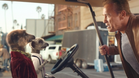 Driving around ...... - hollywood, film, driving, arnold, meerkats