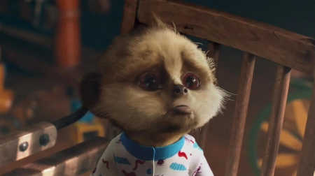 Oleg - meerkat, oleg, advert, baby