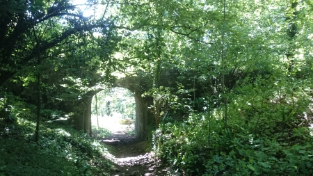 Showing the way - Woodland walk, Architecture, Summers Day, Bridge