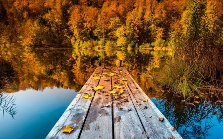 Crystal Lake - lake, fall, forest, leaves, nature