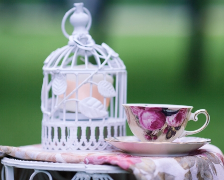 Still life - object, cage, still life, cup