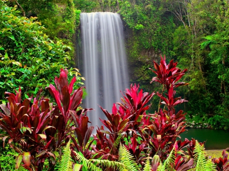 Forest fall - fall, forest, beautiful, greenery, summer, waterfall, plants