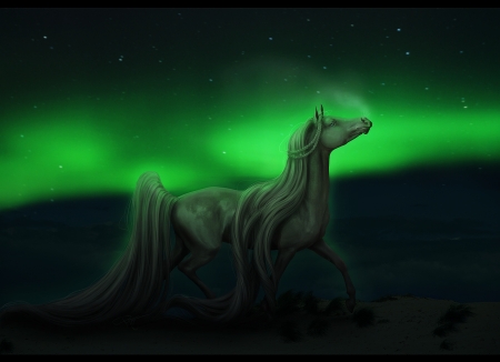 Horse Night - fantasy, night, northern lights, sky