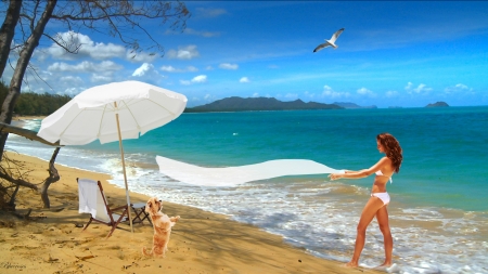 *Fun on the beach* - fun, summer, beach, girl, sea, island, dog, seaside, white, umbrella, hq, gull, seascapes, tropic