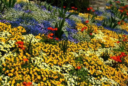 Flower Garden at Lake Constance - blossoms, red, people, yellow, trees, blue