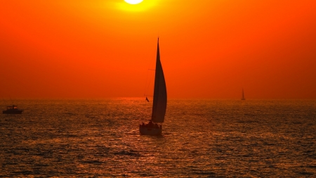 Orange Sunset - sail, sea, sky, boat