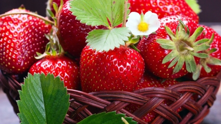 Strawberries - berries, basket, fresh, leaves