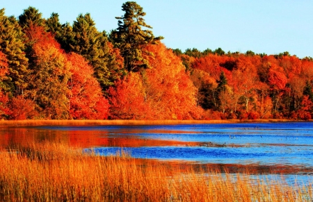 Autumn Lake - orange, water, lake, blue