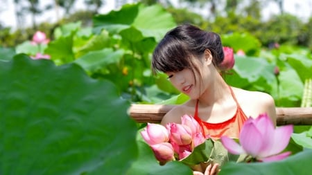 Summer Girl - summer, lotus, girl, asian