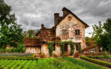 old House - brick, farm, house, photo