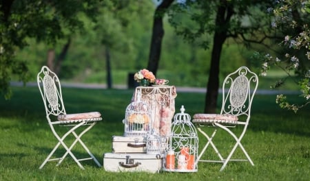 :) - flowers, chairs, still life, garden