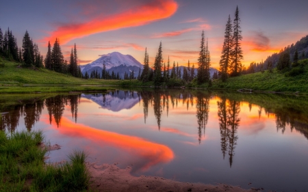 Sunset - nature, lake, river, tree, sunset