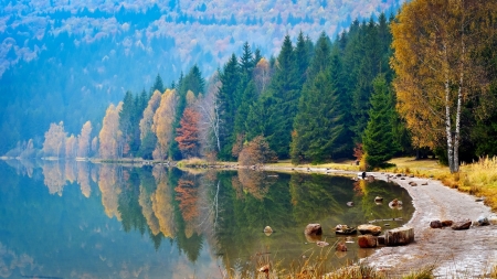 Autumn River - beach, forest, trees, rocks