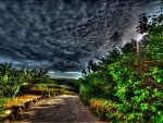 wondrous cobblestone country road hdr