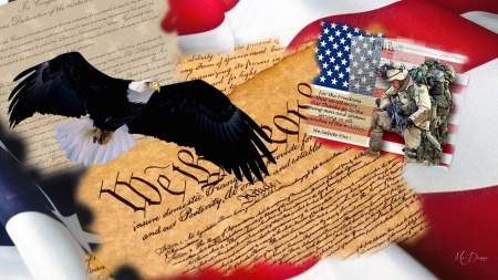 We The People - patriot, soldier, warrior, 4th of July, America, USA, freedom, constitution, eagle, Veterans Day, prayer, Memorial Day, declaration of independence