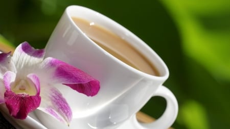 Good Morning - flowers, orchids, tea, cup