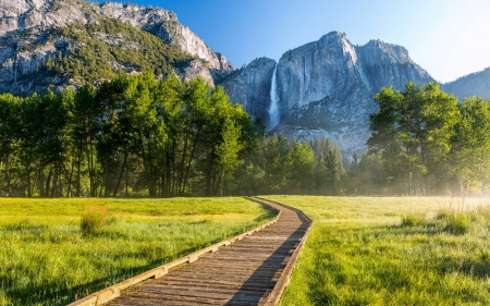 Yosemite National Park - nature, yosemite, trees, jungle, park, national