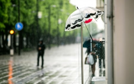 The Lonely Umbrella - Umbrella, handle, photo, rain