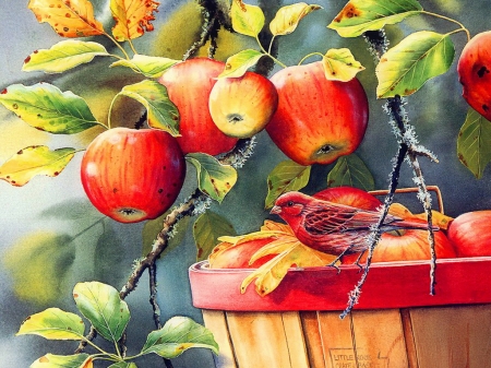 Apple harvest - fruit, finch, nature, painting, art, harvest, beautiful, leaves, birs, tree, apple