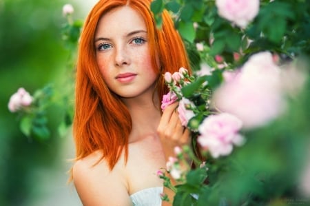 Hidden Beauty - head, women, hairs, Red, freckles, model