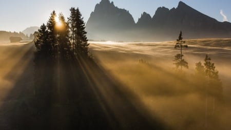 spectacular sunrise in nature - trees, fog, sunrise, morning, mountains, hut