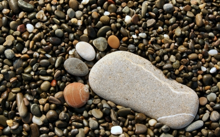 Foot - foot, pebble, beach, beautiful