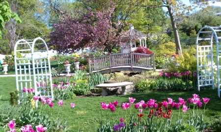 Bronx Botanical Garden - blossoms, trees, photography, ny, park, bridge, usa