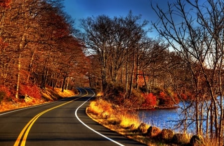 Autumn Road - leaves, fall, road, river