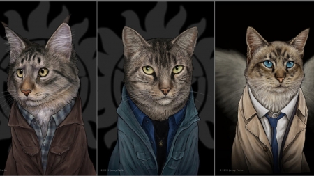 Supercatural - supernatural, cats, fan art, animals