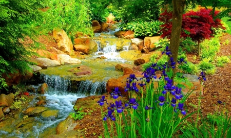 Beautiful Nature - flowers, river, nice, spring