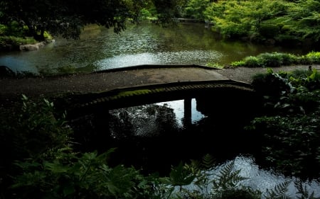 Pond - nature, water, lake, pond