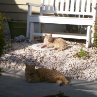 Papa and Missy enjoying the day