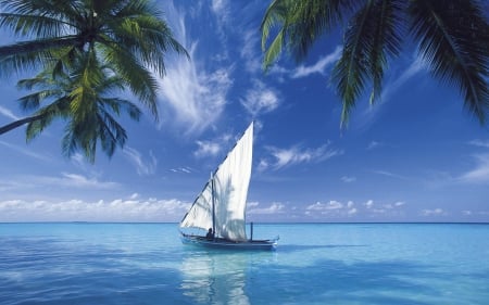 sailboat - cool, boat, fun, ocean, sailboat