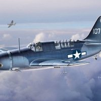 Curtiss Helldiver Art