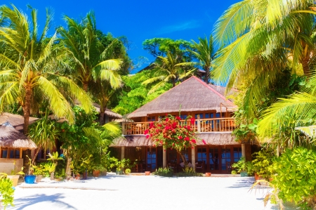 Beautiful Tropical Home - sky, palm trees, home, coast line, tropics, beautiful, flowers, sand