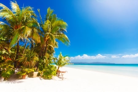 Tropical Sandy Beach - sky, palm trees, ocean, beach, clouds, beautiful, sand