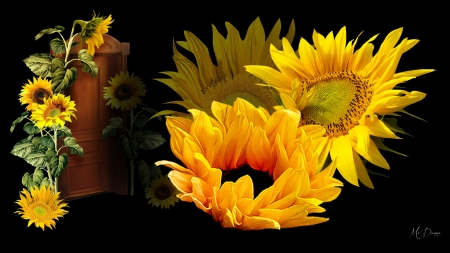 Power of Sunflowers by MaDonna - flowers, Firefox Persona theme, sunflowers, summer, bright, floral, golden