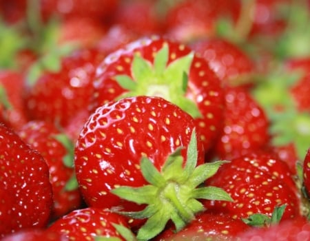 Strawberries - fruit, berries, strawberry, summer