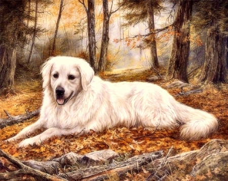 Autumn Dog - fall, dogs, paintings, autumn, love four seasons, draw and paint, animals, leaves