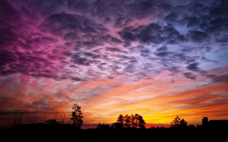 Orange Clouds - nature, tree, sunset, cloud