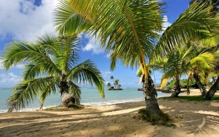 Tropical,Paradise - palms, summer, vacation, beach, sea, ocean, pier, tropical hut, tropical, palm trees, paradise, hut, sun