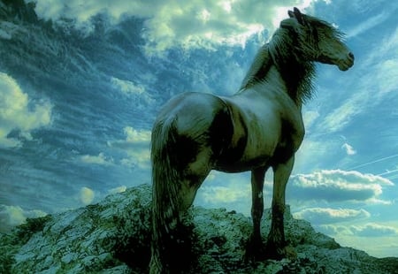 Wild and free - free, horse, wild, animal