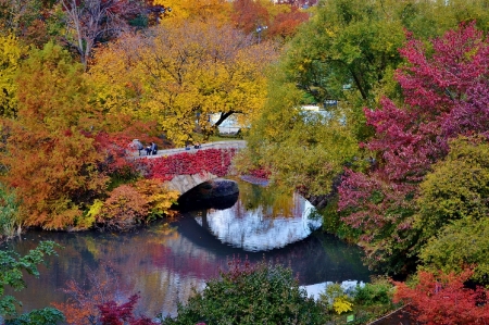 Autumn Beauty - bridge, trees, river, autumn