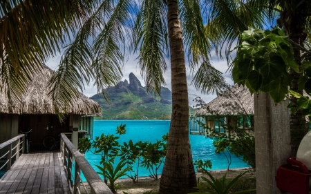 Tropical Paradise - resorts, summer, beach, beautiful, sea, island, Bora Bora, tropical, bungalow, palm trees, turquoise, walkways, paradise