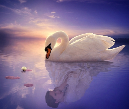 Princess or swan - SWAN, WOMAN, COLORS, LAKE